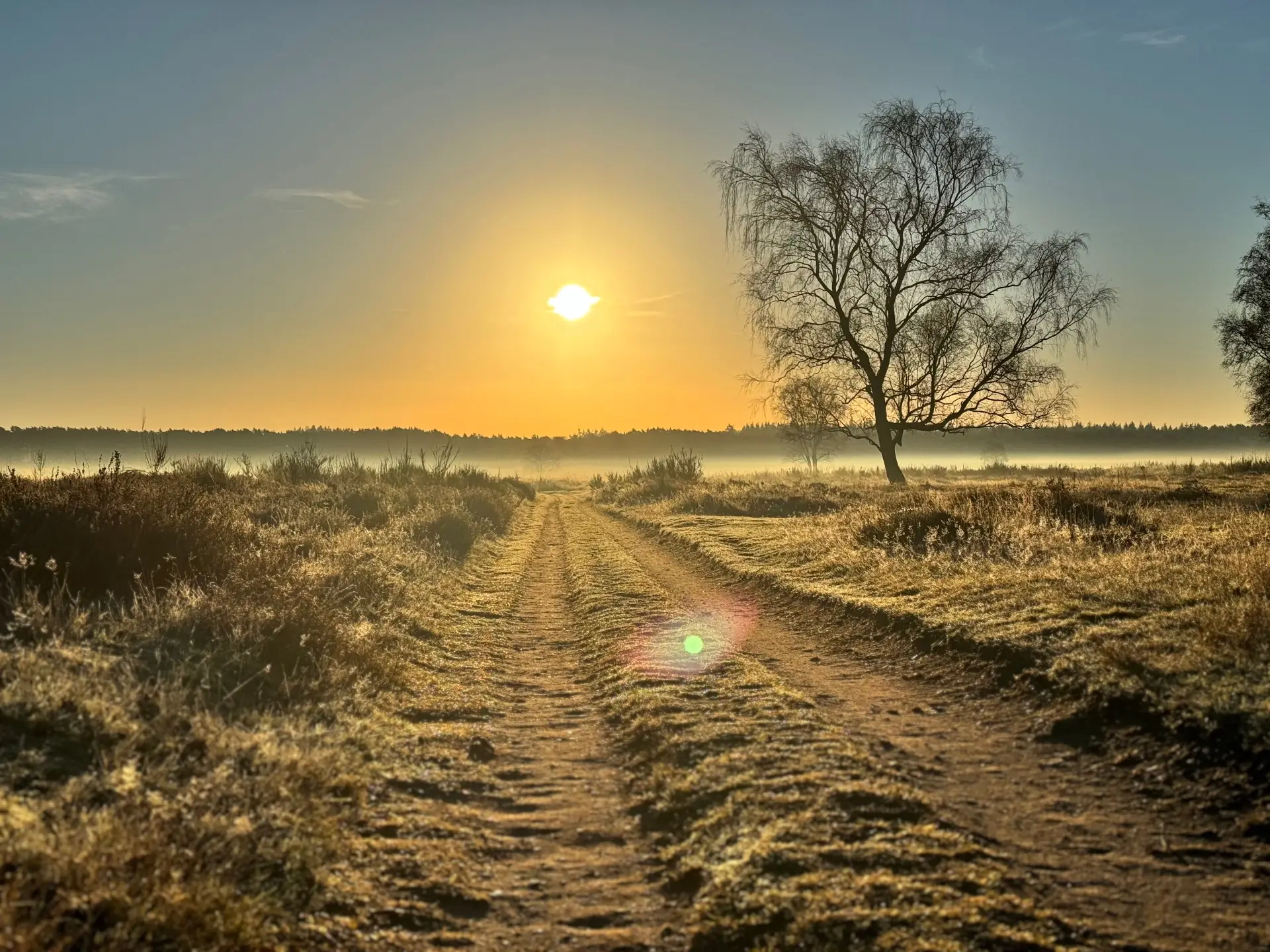 Zonsopkomst boven de heide bij Laren