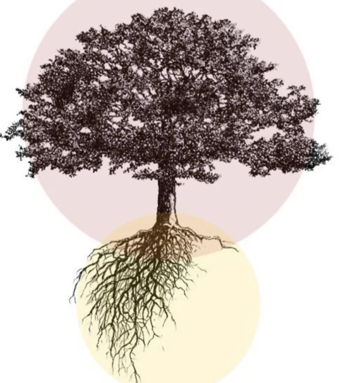 Het beeldmerk van To the Roots: een boom met zijn wortelstelsel